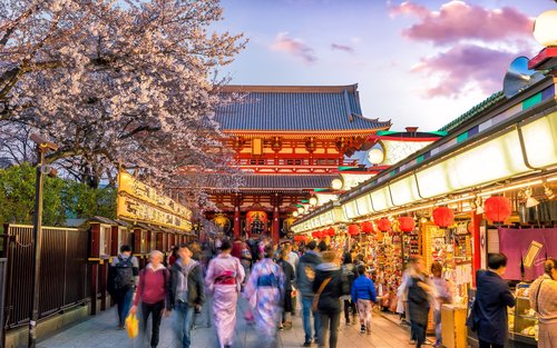 Asakusa, Kappabashi, and Ueno Walking Tour: Experience Tokyo's History and Culture in 3 Hours