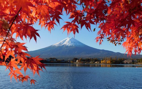 Mt Fuji Day Tour dengan Pilihan Makan Siang A5 Beef (dari Tokyo)