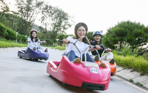 從首爾出發的仁川一日遊：江華島斜坡滑車、鐵路自行車、海鷗渡輪