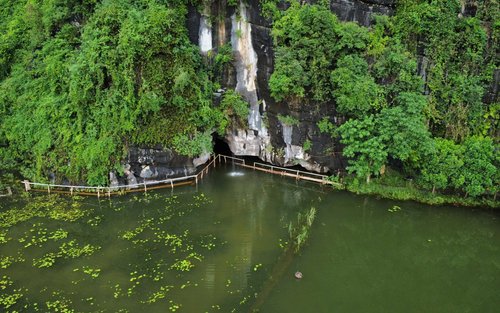 De Ninh Binh : Musée de Tam Coc, culture du riz et promenade à dos de buffle