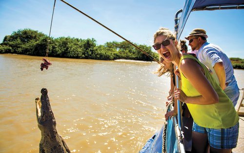 Jumping Crocodile Cruise Exclusive Wildlife Adventure Tour