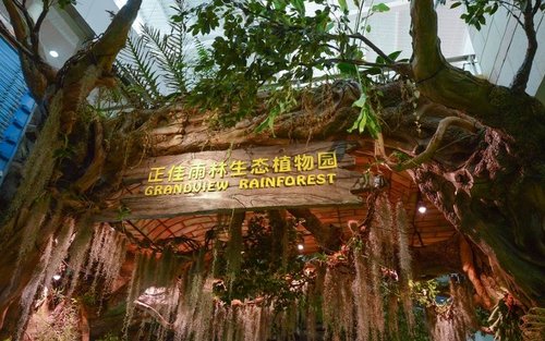 Bilet de intrare la Grădina Botanică Ecologică a Pădurii Tropicale Zhengjia din Guangzhou