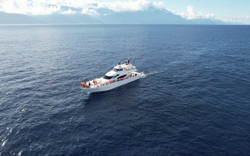 Хуалянь｜Наблюдение за китами с Venus｜Роскошное наблюдение за китами на яхте