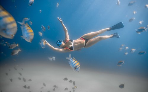Tour lặn biển riêng ở Los Cabos đến vịnh Chileno và vịnh Santa Maria