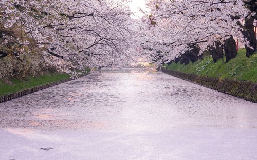 Aomori | Oirase Stream & Lake Towada & Mount Hakkoda Day Trip