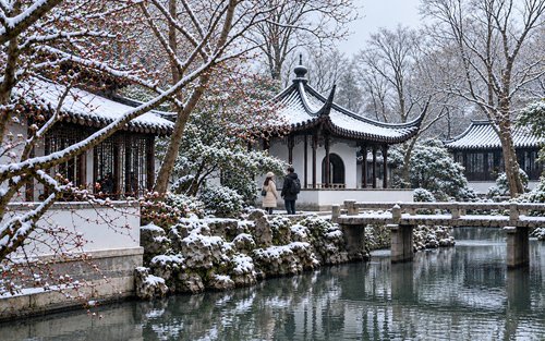 Suzhou Humble Administrator's Garden / Lion Forest Garden + Hanshan Temple + Shantang Street / Zhouzhuang 1-Day Tour