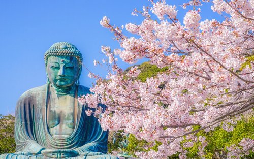 东京镰仓 & 江之岛一日游
