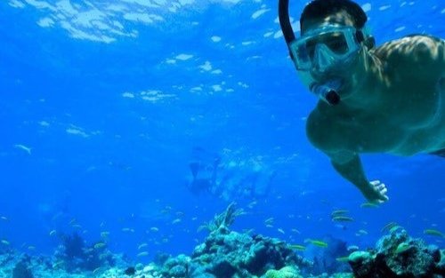 Morning or Afternoon Reef Snorkeling Experience in Key West