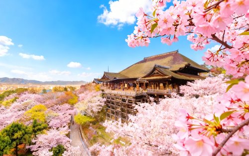 Kyoto and Nara Day Tour │ Kiyomizu-dera Temple + Fushimi Inari-taisha Shrine + Nara Park (Osaka/Kyoto Departure)