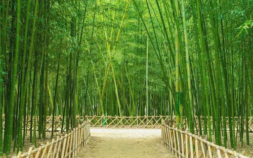 从釜山出发的蔚山蔚州郡一日游