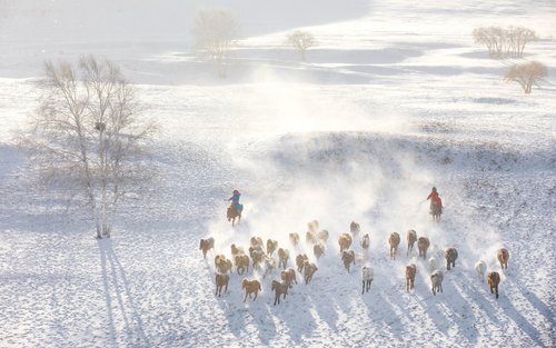 Ice and Snow Fairy Tale | Meet Ulan Butong Winter 5-Day Tour (8-Person Small Group + Departure from Beijing + Hot Springs under the Great Wall)