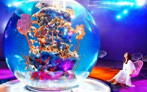 Kobe Nunobiki Herb Gardens & ATOA Art Aquarium or Kobe Harborland MOSAIC Ferris Wheel & Mt. Maya Night View Day Trip | Late Departure, Late Return from Osaka