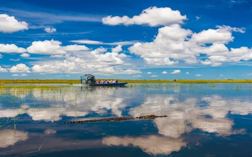 Everglades Safari Tour ab Fort Lauderdale
