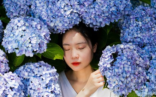 [Vårsäsong] Hortensiafestival + Tongyeong-tur från Busan