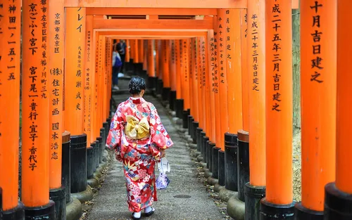 Kyoto and Nara Small Group 1-Day Tour: Nara Park Cute Deer, Kiyomizu-dera Temple, Fushimi Inari Taisha (Optional Hotel Pickup/Private Charter)