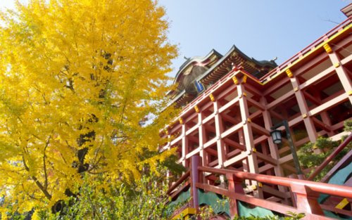 Arita Porcelain Park & Yutoku Inari Shrine Full-Day Experience