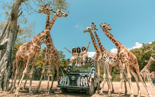 Kanchanaburi Safari Park and River Kwai Bridge Day Tour