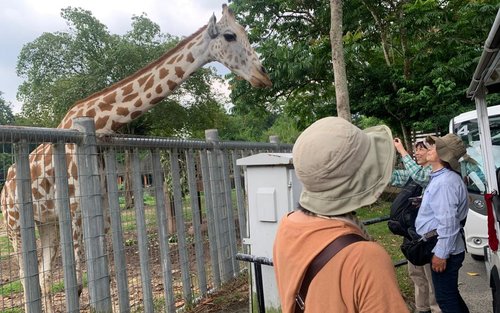 Tour Cả Ngày Tham Quan Sở Thú Taiping & Đảo Đười Ươi George Town
