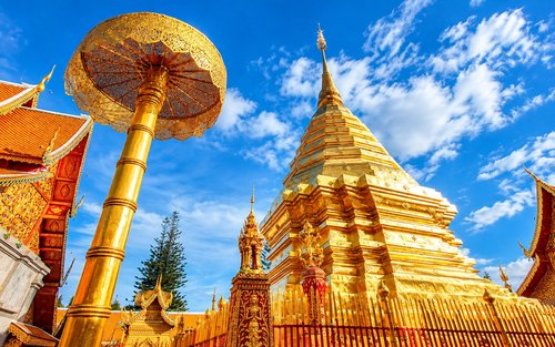 Chiang Mai Doi Suthep & Wat Pha Lat Half-Day Temple & Hiking Tour