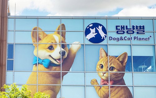 제주 댕냥별 입장권