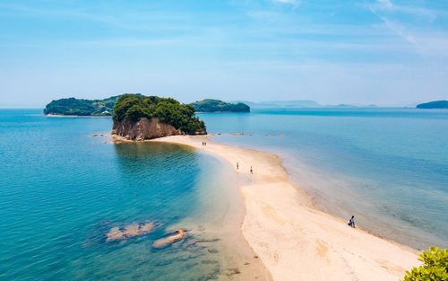 フェリー往復チケット (高松港⇔小豆島池田港)