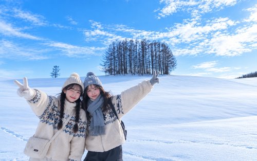 삿포로 출발 비에이 & 후라노 핵심 투어 (늦은 출발)