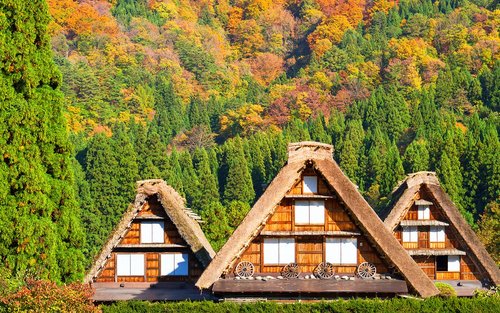 名古屋岐阜&白川乡二日游（不含住宿）