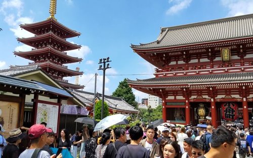Tokyo 4-Hour Private Tour: Top Spots & Hidden Gems