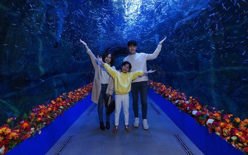 Aqua Planet Yeosu entrance ticket