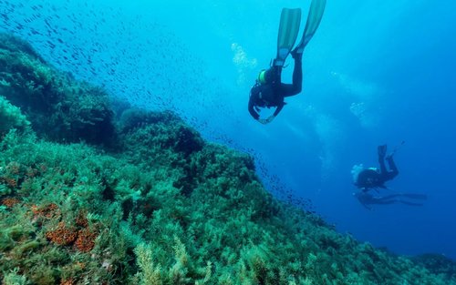 Brazil: Diving Experience for Beginners in Noronha