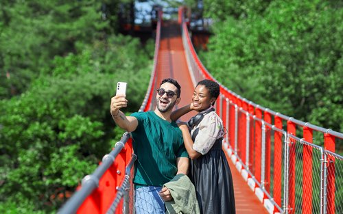 由在地專業導遊帶領的首爾DMZ非軍事區深度探索之旅
