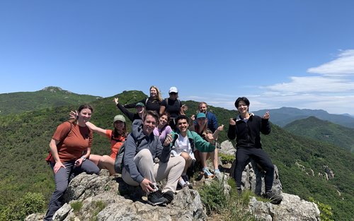 Esperienza di un'intera giornata di escursioni e gastronomia a Busan e Pohang-si