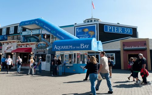 Aquarium of the Bay Ticket