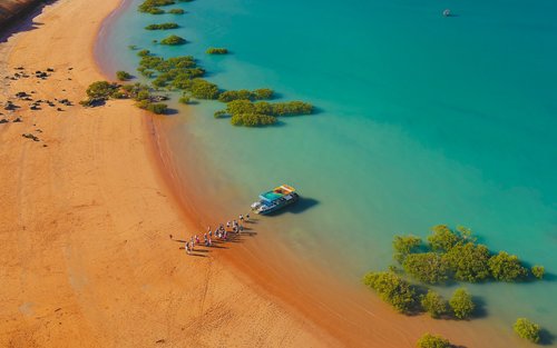 布鲁姆恐龙探险巡游之旅，含海滩小吃和鸡尾酒