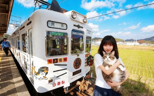 Gita di un giorno a Osaka, Wakayama e alla costa di Shirahama