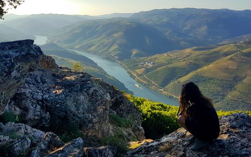 Douro Valley Small Group Day Tour dengan Makan Siang dari Porto