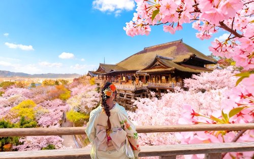 Kyoto and Nara Day Trip | Kiyomizu-dera Temple + Fushimi Inari Shrine + Nara Park (Departure from Osaka/Kyoto)