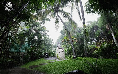 বালি রেপটাইল পার্ক টিকিট