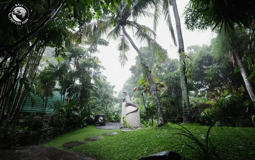 巴厘岛爬行公园门票