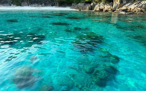 쁘렌띠안 펀 다이빙 2회 (자격증 필요 / PADI 5성급 센터)