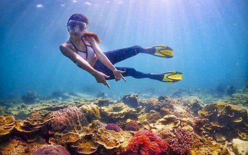 Disfrute del Tour de un Día de Nemo y Pattaya desde Bangkok o Pattaya