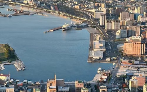 Hakodate Full-Day City Highlights Tour with Local Guide