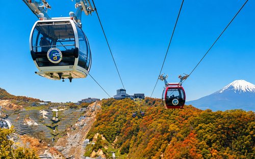 Lawatan Sehari Gunung Fuji dan Hakone Termasuk Pengalaman Kereta Kabel - Tasik Yamanaka Swan & Pemandangan Indah Oshino Hakkai & Refleksi Torii & Pemandangan Vulkanik Owakudani (Bertolak dari Tokyo)