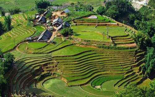 Y Linh Ho, Lao Chai - Ta Van Village Trekking Day Tour