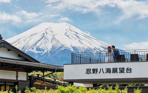 Tokyo Fuji Six Scenic Spots Full-Day Guided Tour