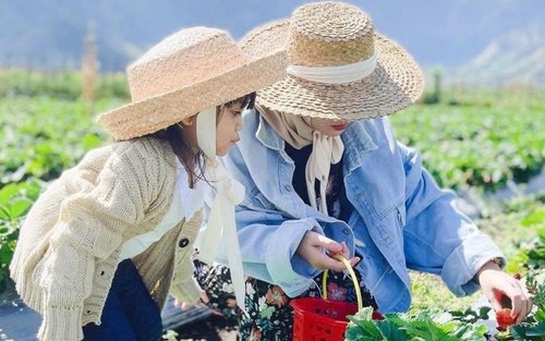 Excursió privada a Tanah Lot i Bedugul amb pícnic opcional