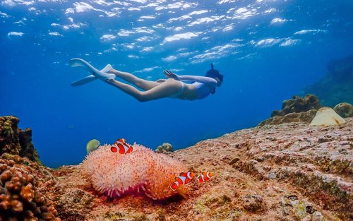 サマエサン島 日帰りツアー（バンコク発 / ドローン写真撮影・昼食付き） 