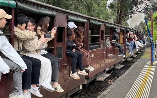Egynapos privát túra a Puffing Billy gőzössel és a Healesville vadasparkkal