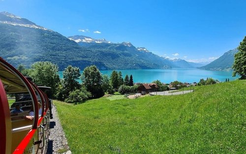 Bernese Alps, Steam Train and Lake Brienz Cruise Full-Day Private Tour
