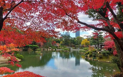 Shukkeien Garden Admission Ticket (Hiroshima) 